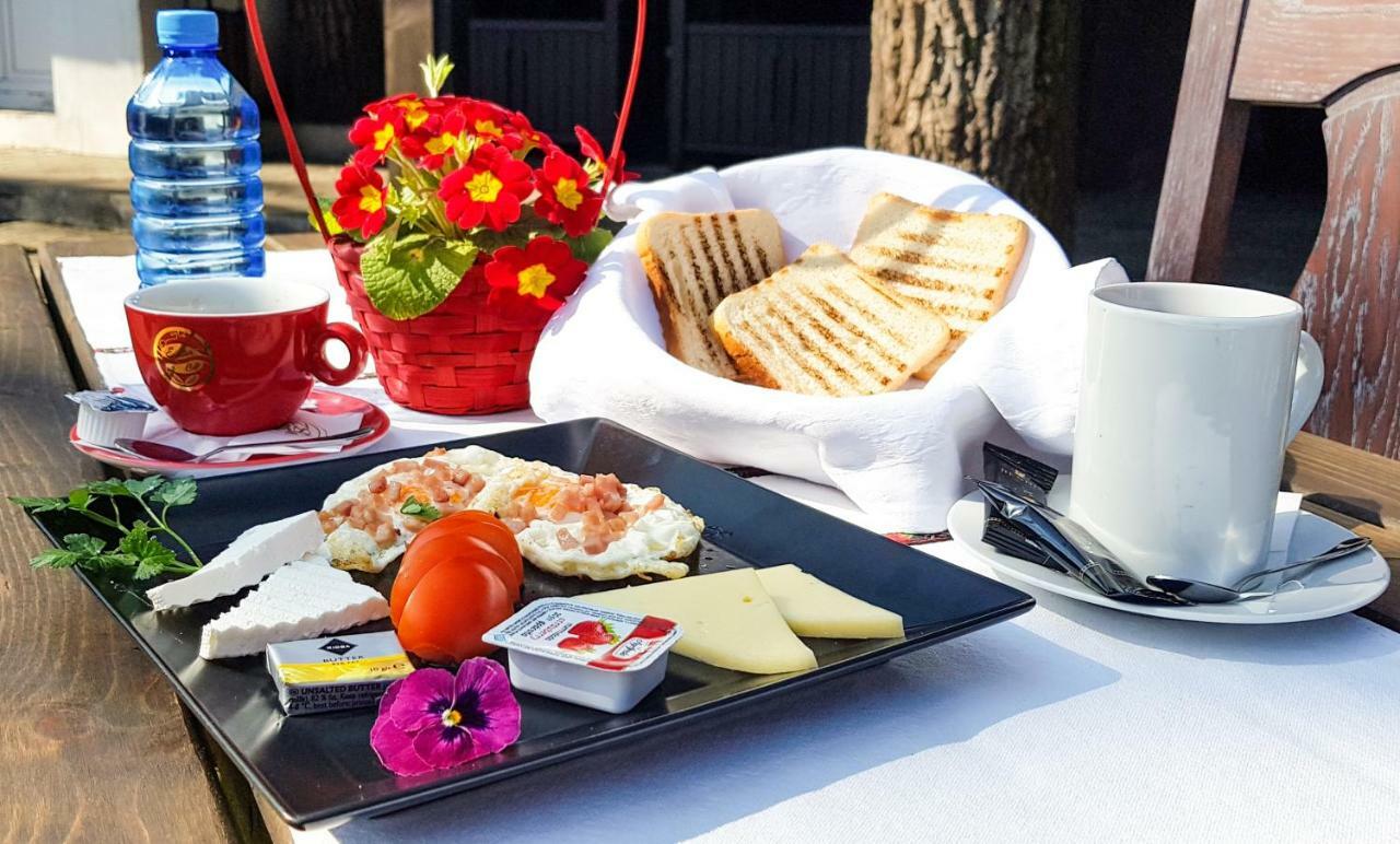 Hotel Cornul Vanatorului Питешти Экстерьер фото